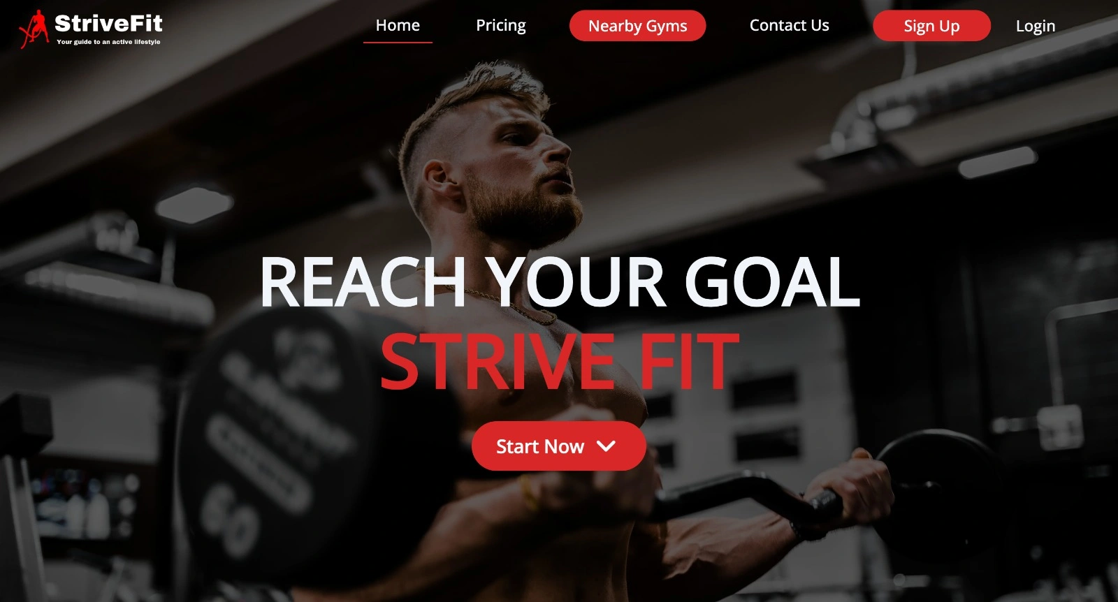 StriveFit - Full View 2